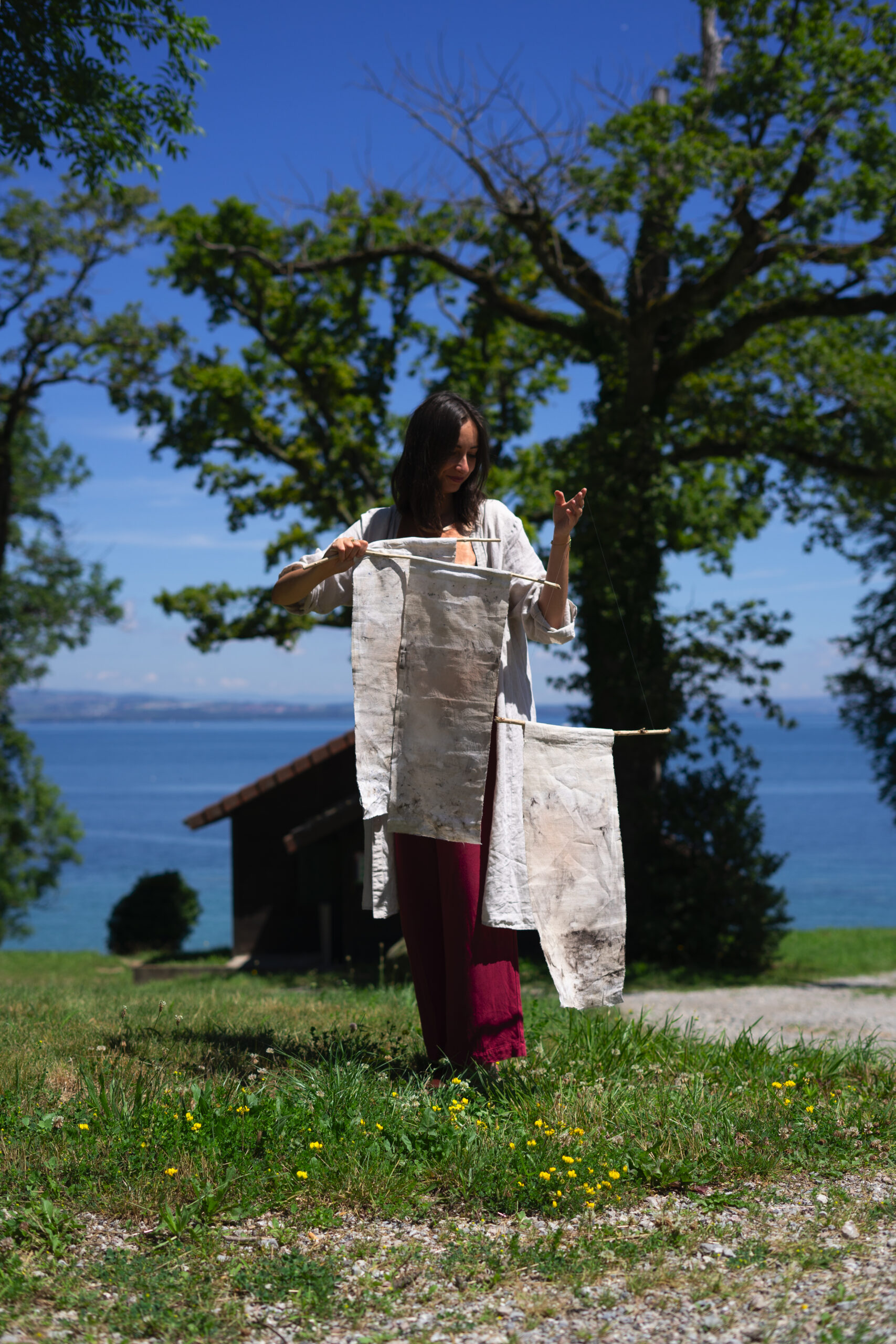 green and white plant during daytime